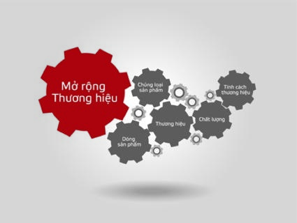 Đánh giá ưu và khuyết điểm trong việc mở rộng thương hiệu