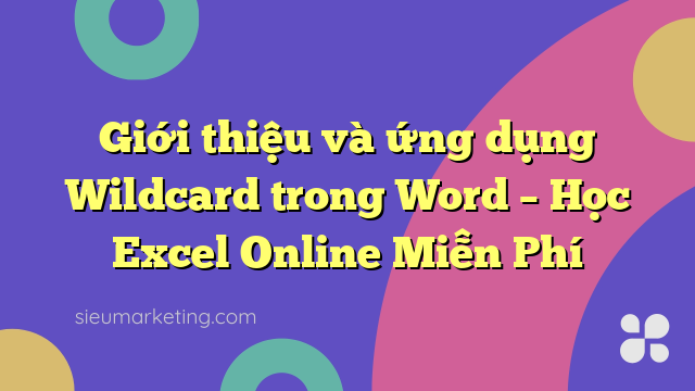 Giới thiệu và ứng dụng Wildcard trong Word – Học Excel Online Miễn Phí