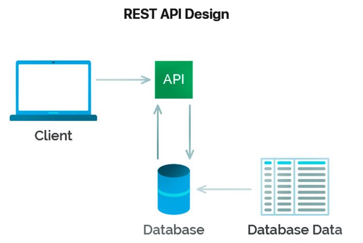 Rest API - Sự kết nối quan trọng trong lập trình