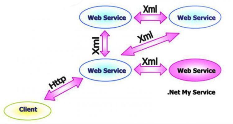 TXML là gì? Tổng quan về XML