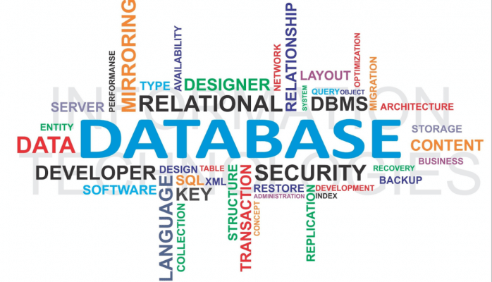 Nghiên cứu Database Administrator và chức năng họ đảm nhiệm