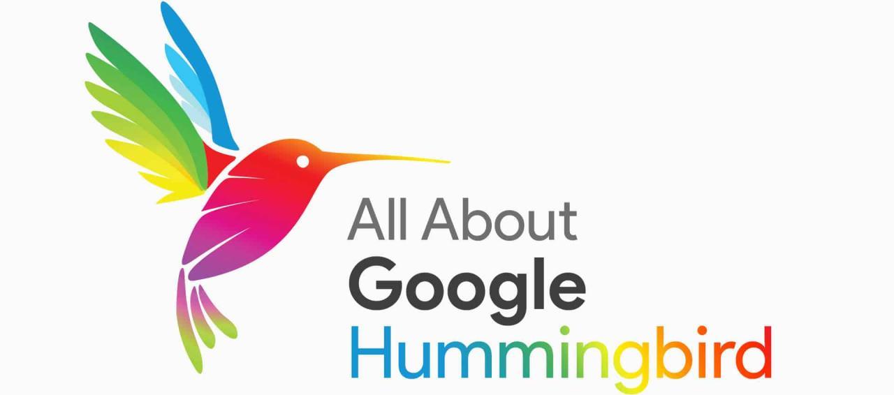 Tìm hiểu về Google Hummingbird - Thuật toán tìm kiếm quan trọng