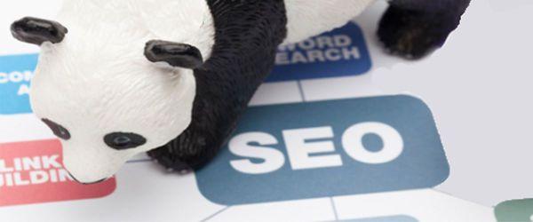 Google Panda Back: Khái niệm và tác dụng ra sao?