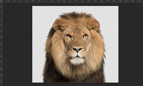 Làm mờ phông nền đơn giản với Photoshop CS6