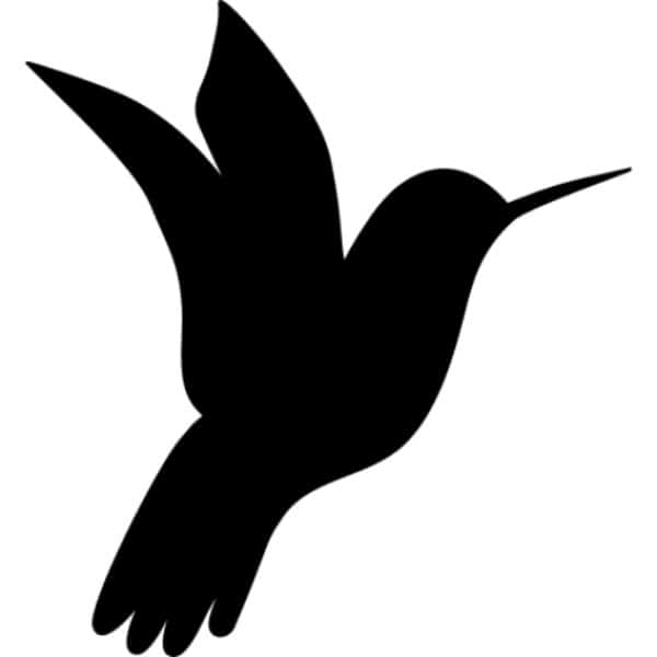 Tìm hiểu về Google Hummingbird - Thuật toán tìm kiếm quan trọng