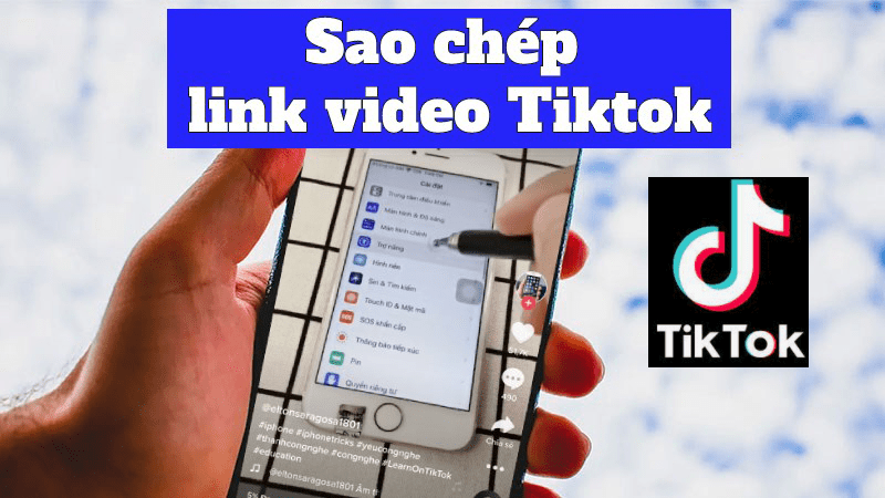 Hướng dẫn sao chép đường liên kết TikTok một cách dễ dàng